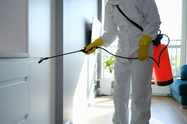 Best Mold Cleaning Services  in Carrollton, KY