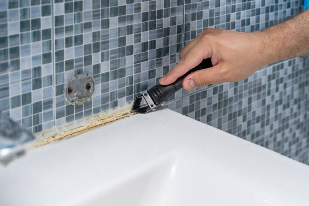 Best Mold Testing  in Carrollton, KY