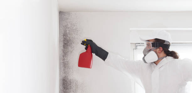 Best Crawl Space Mold Removal  in Carrollton, KY